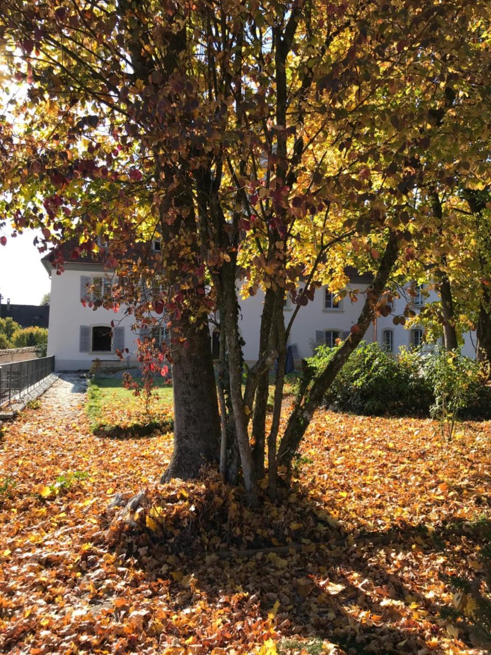 Manoir De La Cote-Dieu Porrentruy Ngoại thất bức ảnh